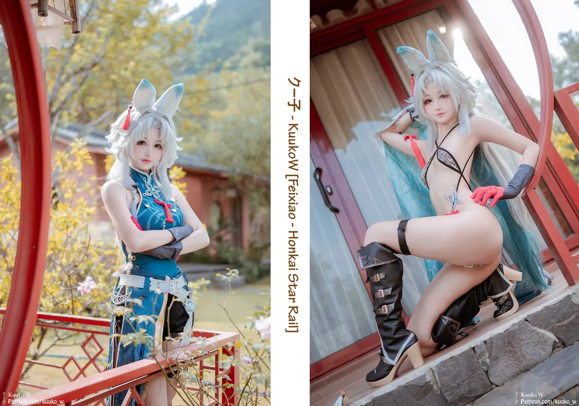 Feixiao - kuuko w